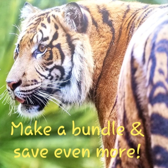 Meet your Posher, Donna - Picture 2 of 2